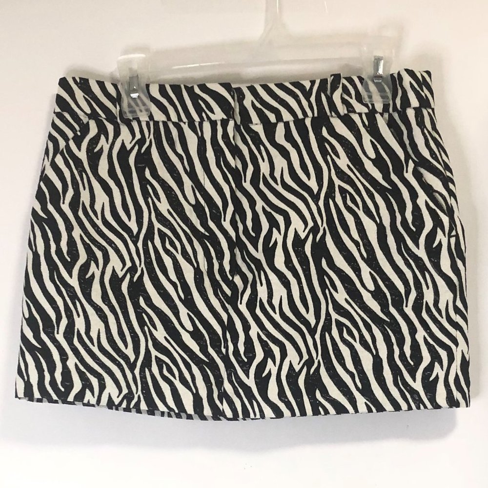 Mini Skirt